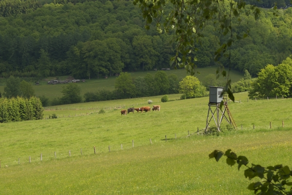 rothaargebirge - (c) r pattke.jpg